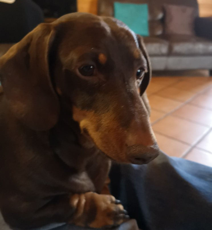 Sliders Guest House主图