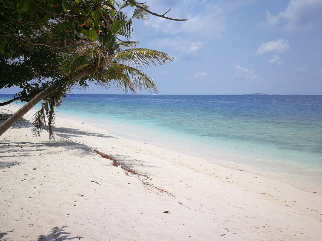 Lvis Blancura Hotel主图