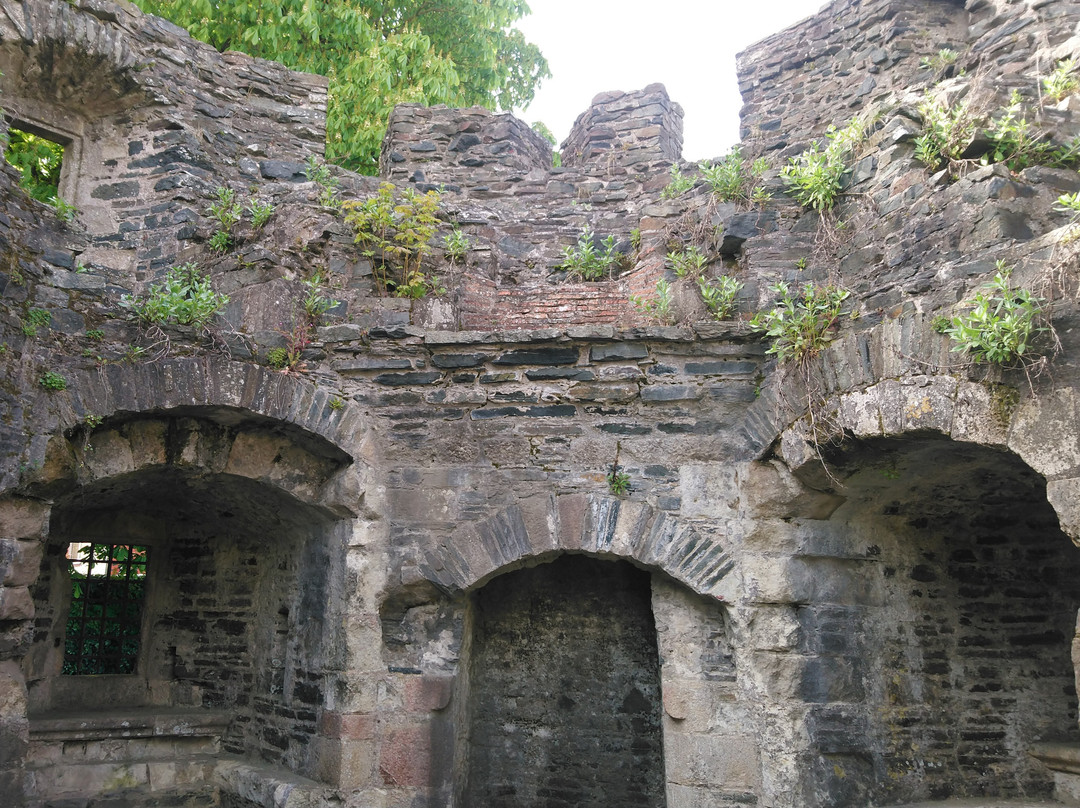 Château Médiéval d'Oudon景点图片