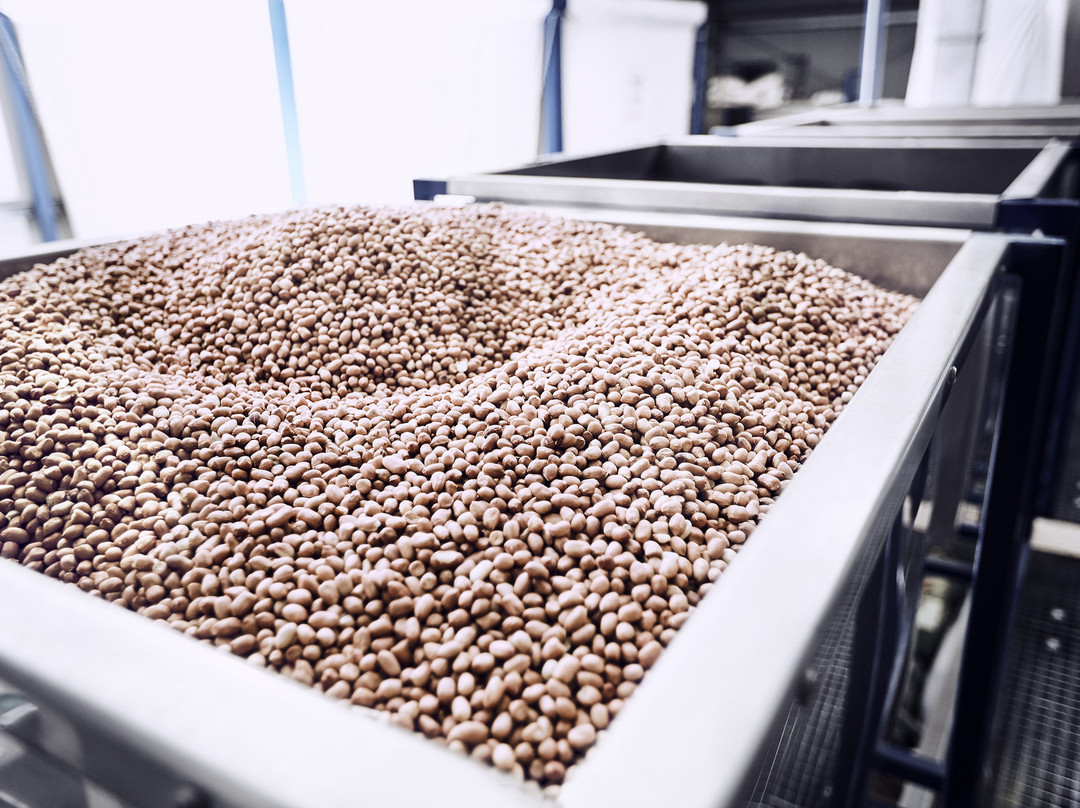 Ölmühle Solling-Boffzen必去景点