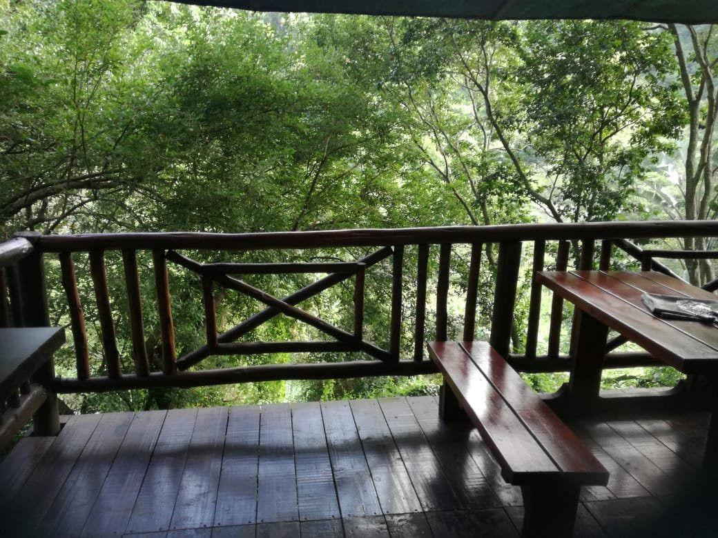 Tree House River Lodge主图