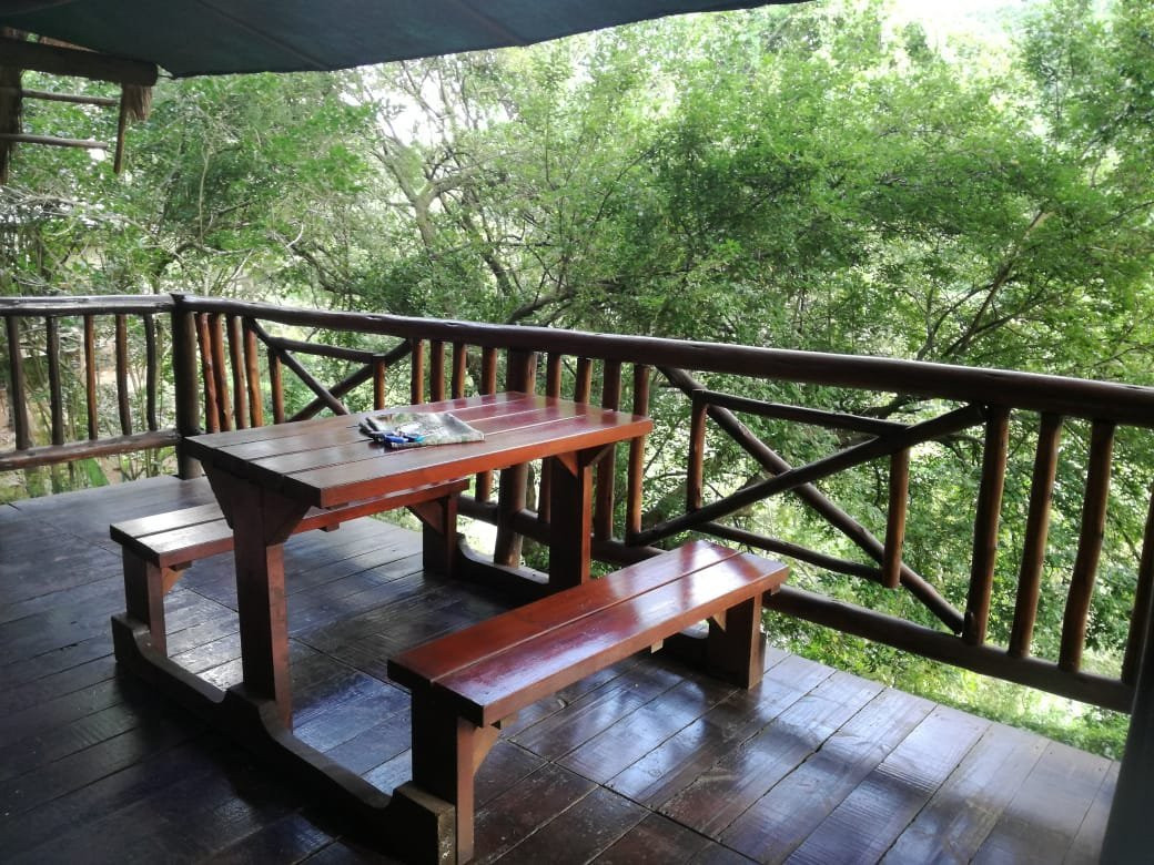 Tree House River Lodge主图