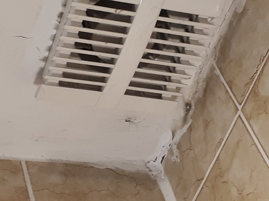 阿尔特斯祖尔翰斯酒店主图