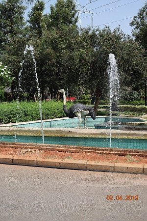 Summer Green Resort主图