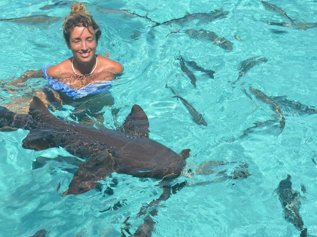 Breezy Hill Exuma Bahamas主图