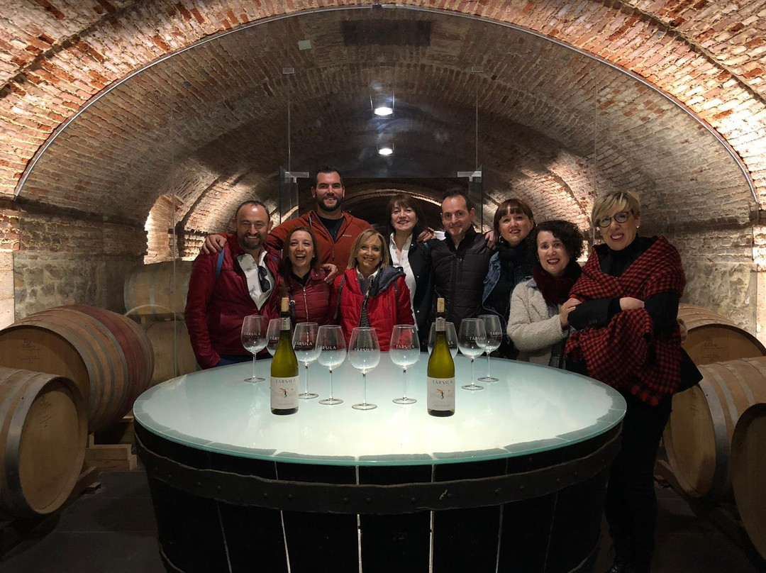 Bodegas Tarsila-瓦拉杜利德必去景点