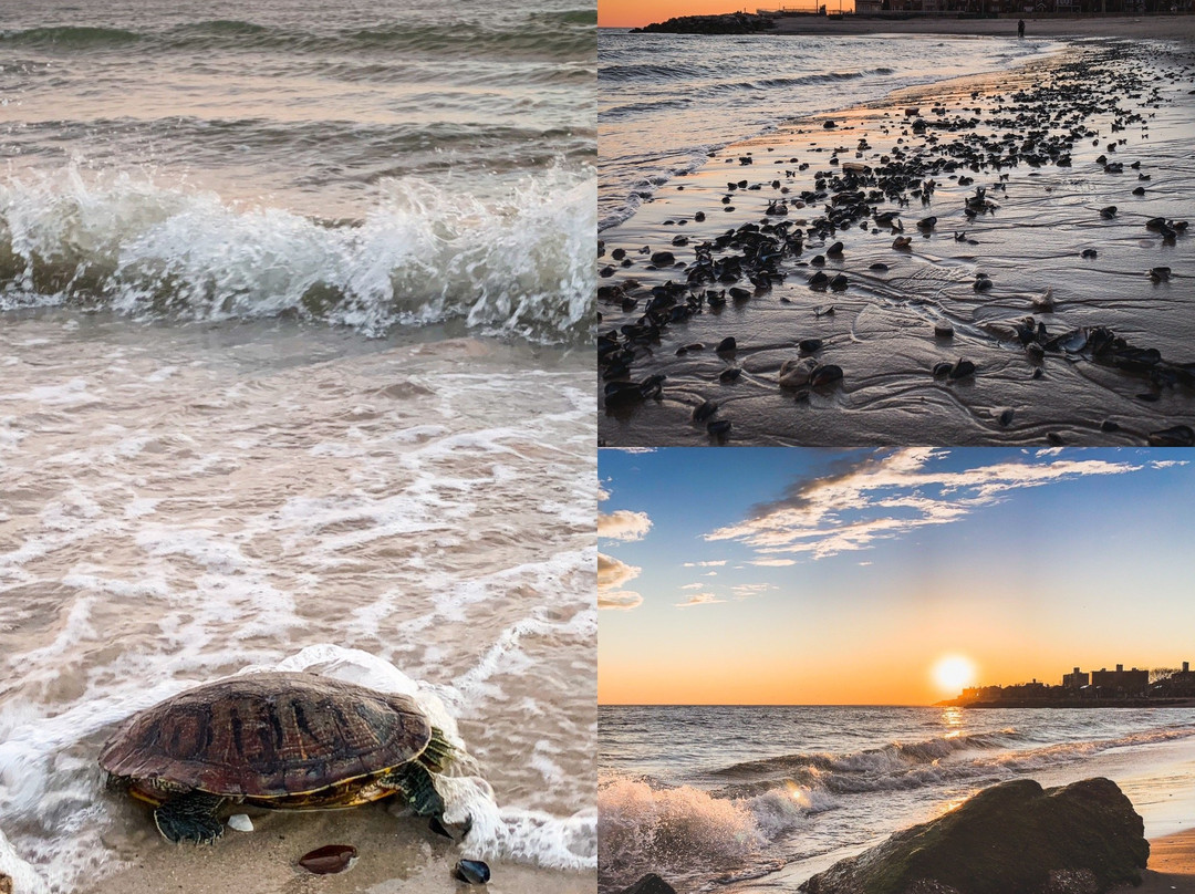 Manhattan Beach Park-布鲁克林必去景点