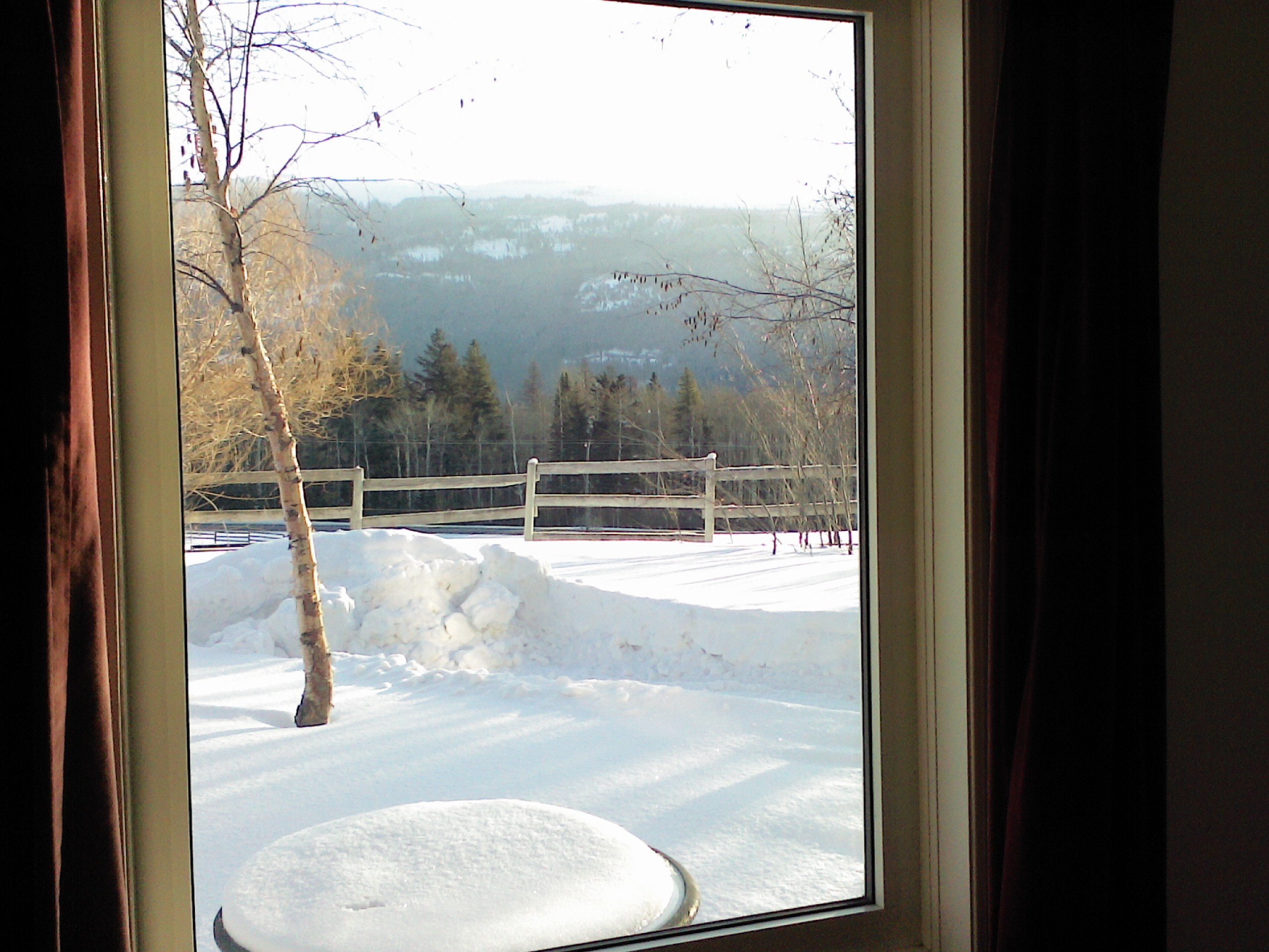 Holley Lane Bed and Breakfast-酒店景观