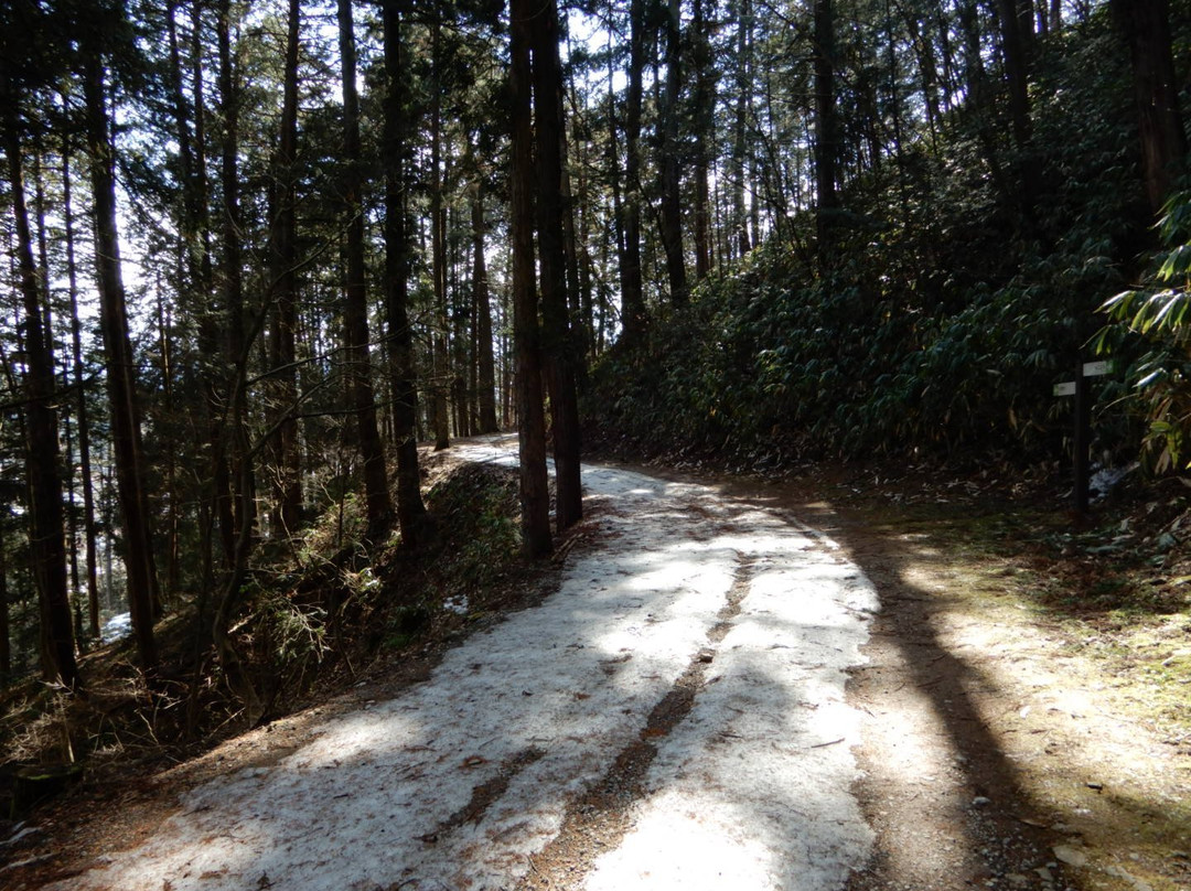 Shiroyama Park-高山市必去景点