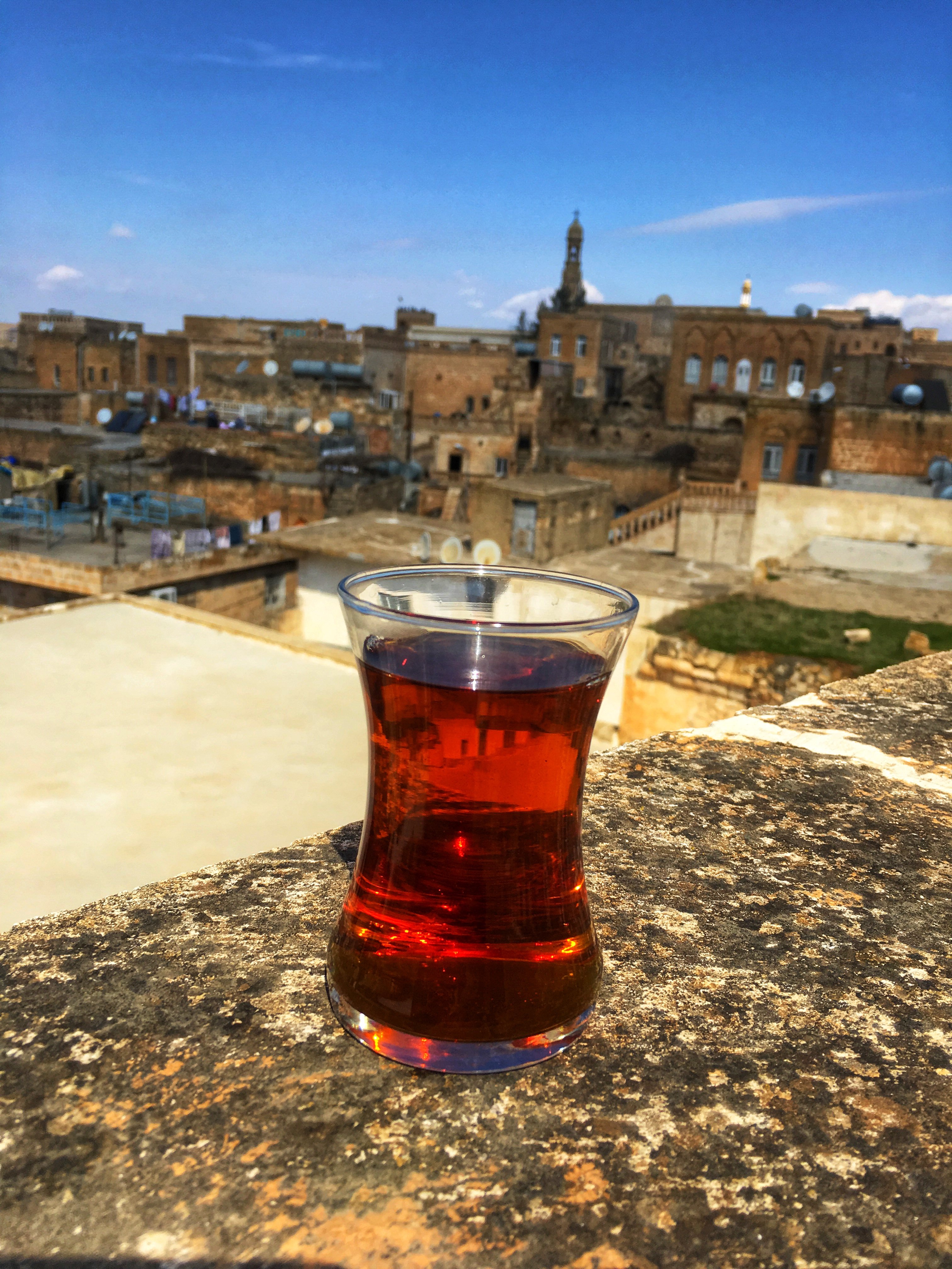 Shmayaa Hotel-portrait