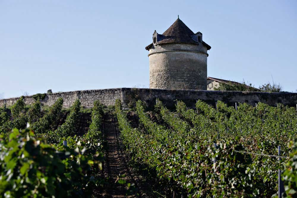 Château Puyfromage景点图片
