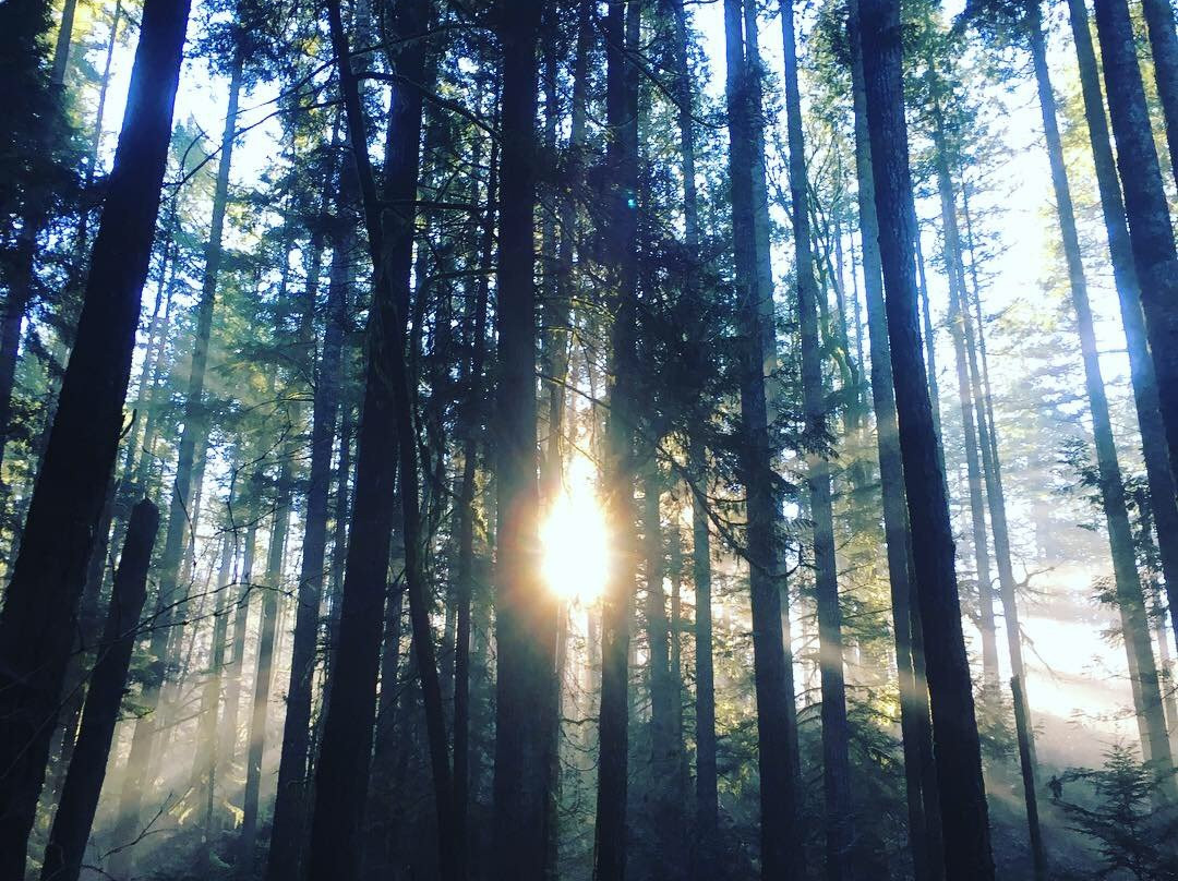 Wildflower Cottages主图