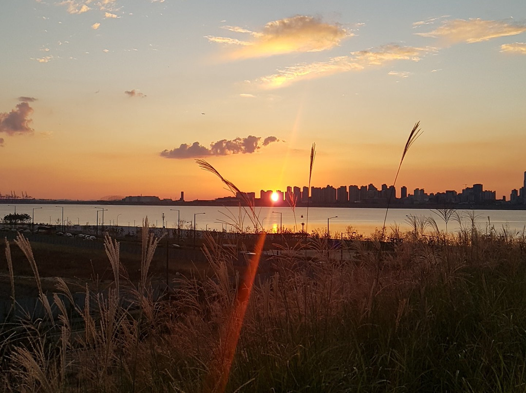 Baegot Life Park-始兴市必去景点