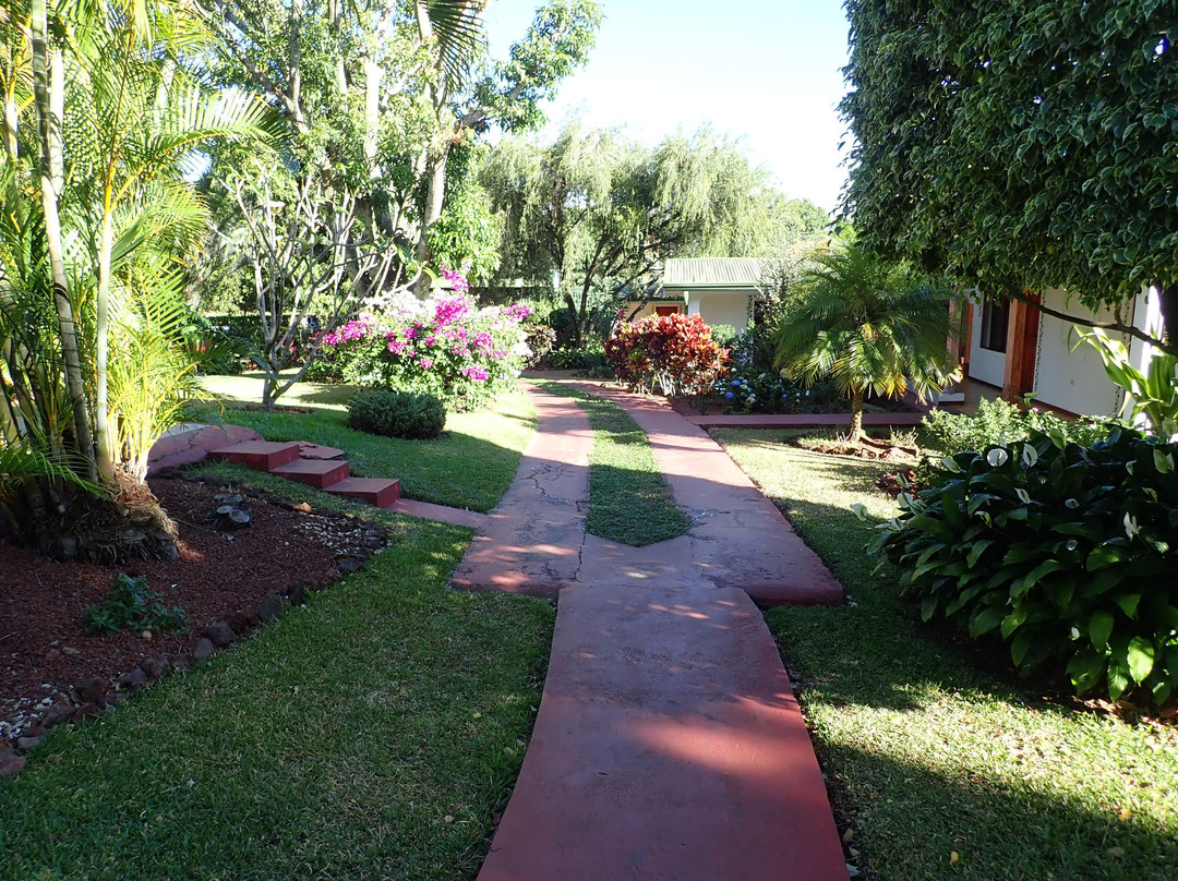 Hotel La Rosa de America主图