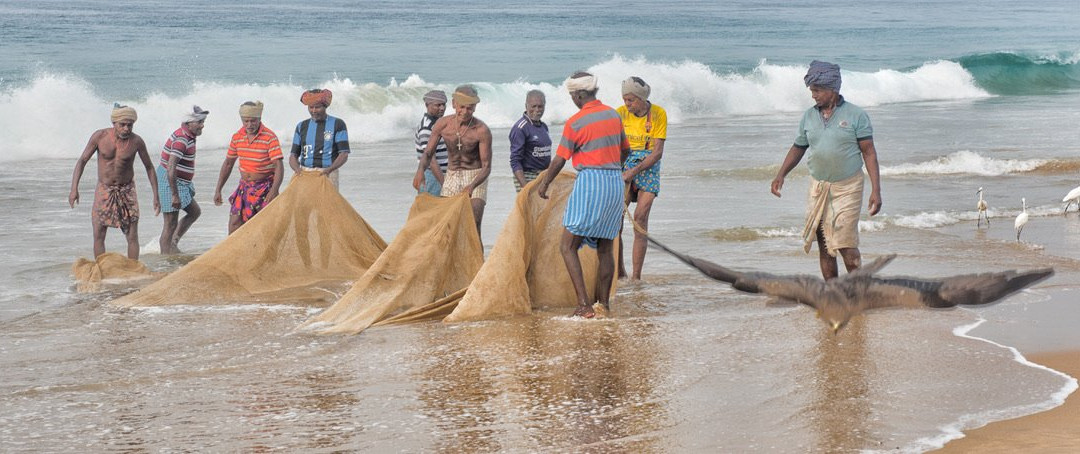 索玛希拉姆印度疗养度假酒店主图