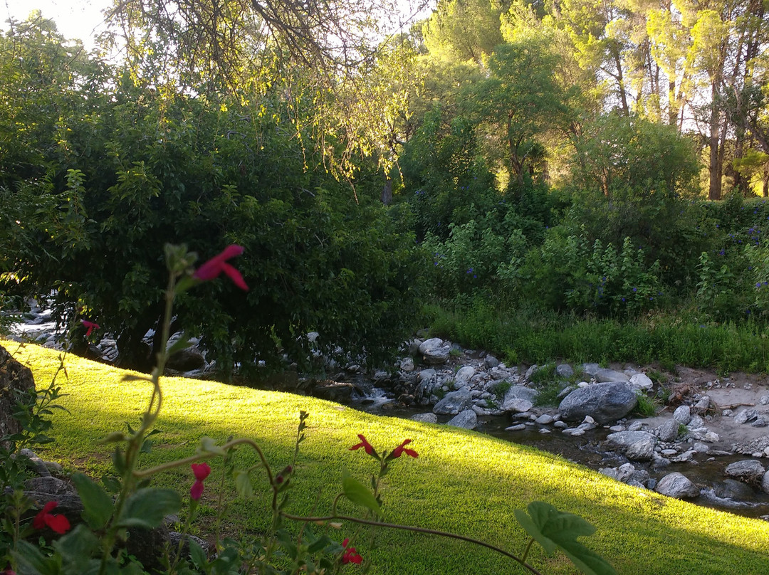 Puesto Victoria主图