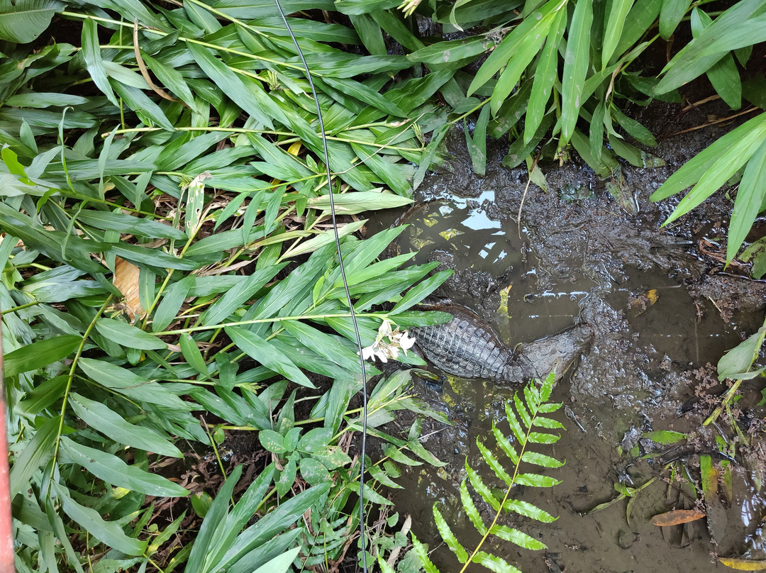 Hotel El Mono Feliz主图