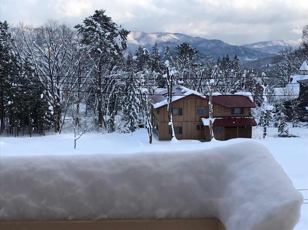 Wadano Forest Hotel & Apartments主图