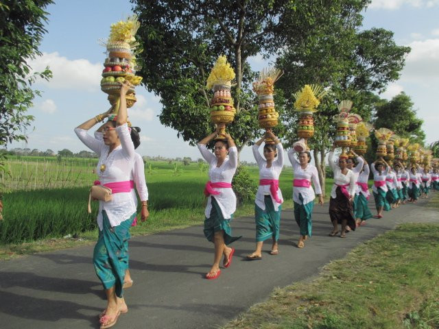 Teddy's Tours-孟格威必去景点