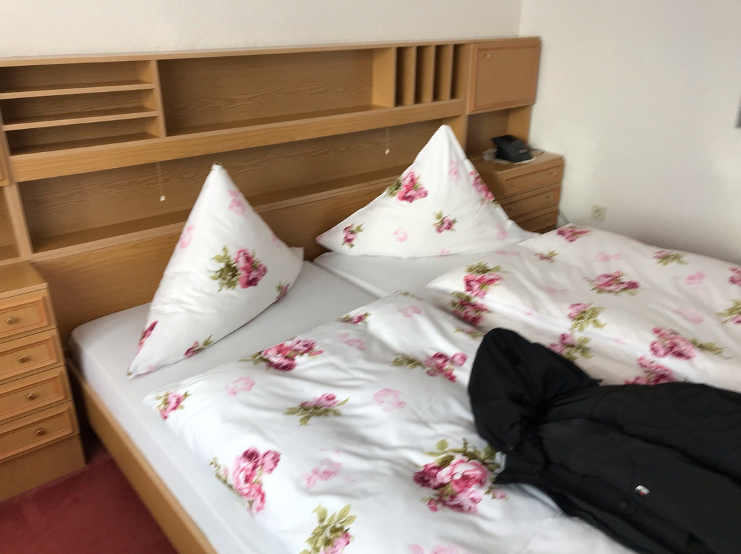 Sankt Andreasberg酒店住宿-Hotel - Pension Fernblick