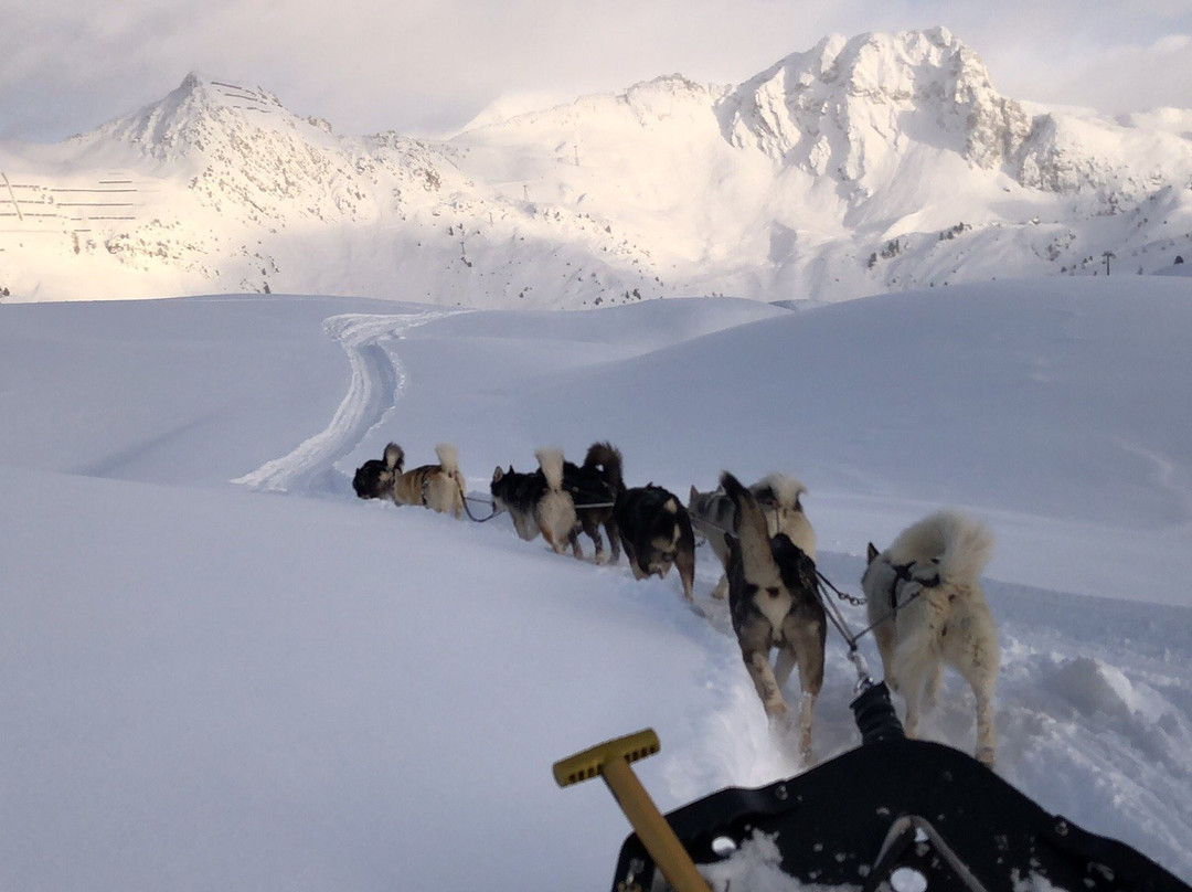 Chiens de Traîneaux-Macot-la-Plagne必去景点