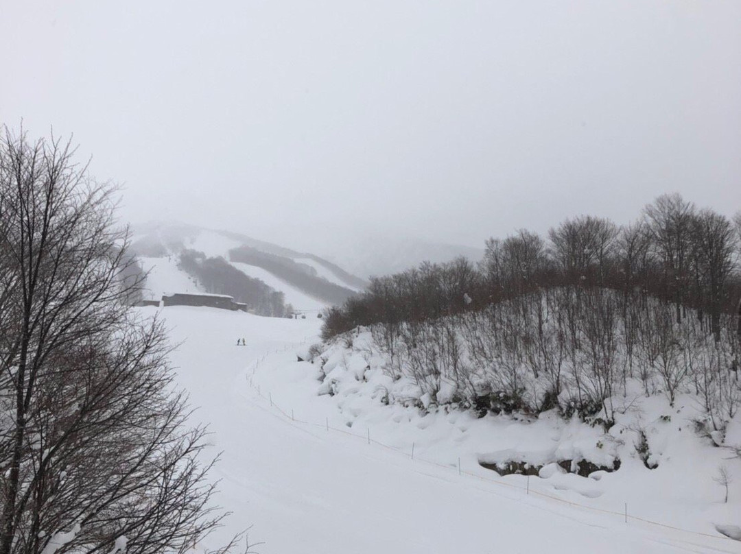 Tazawako Ski Resort-仙北市必去景点