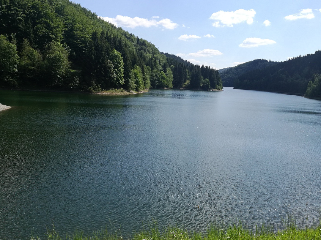 Haus Linde Frauenwald am Rennsteig主图