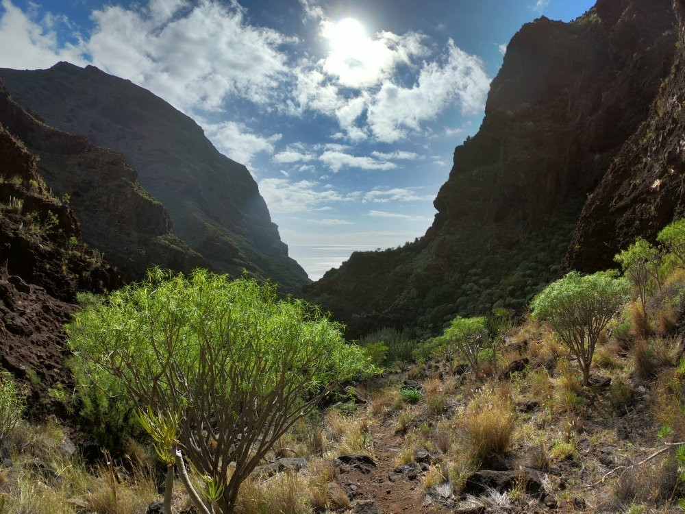 Enjoy Your Adventure Tenerife-特纳里夫必去景点
