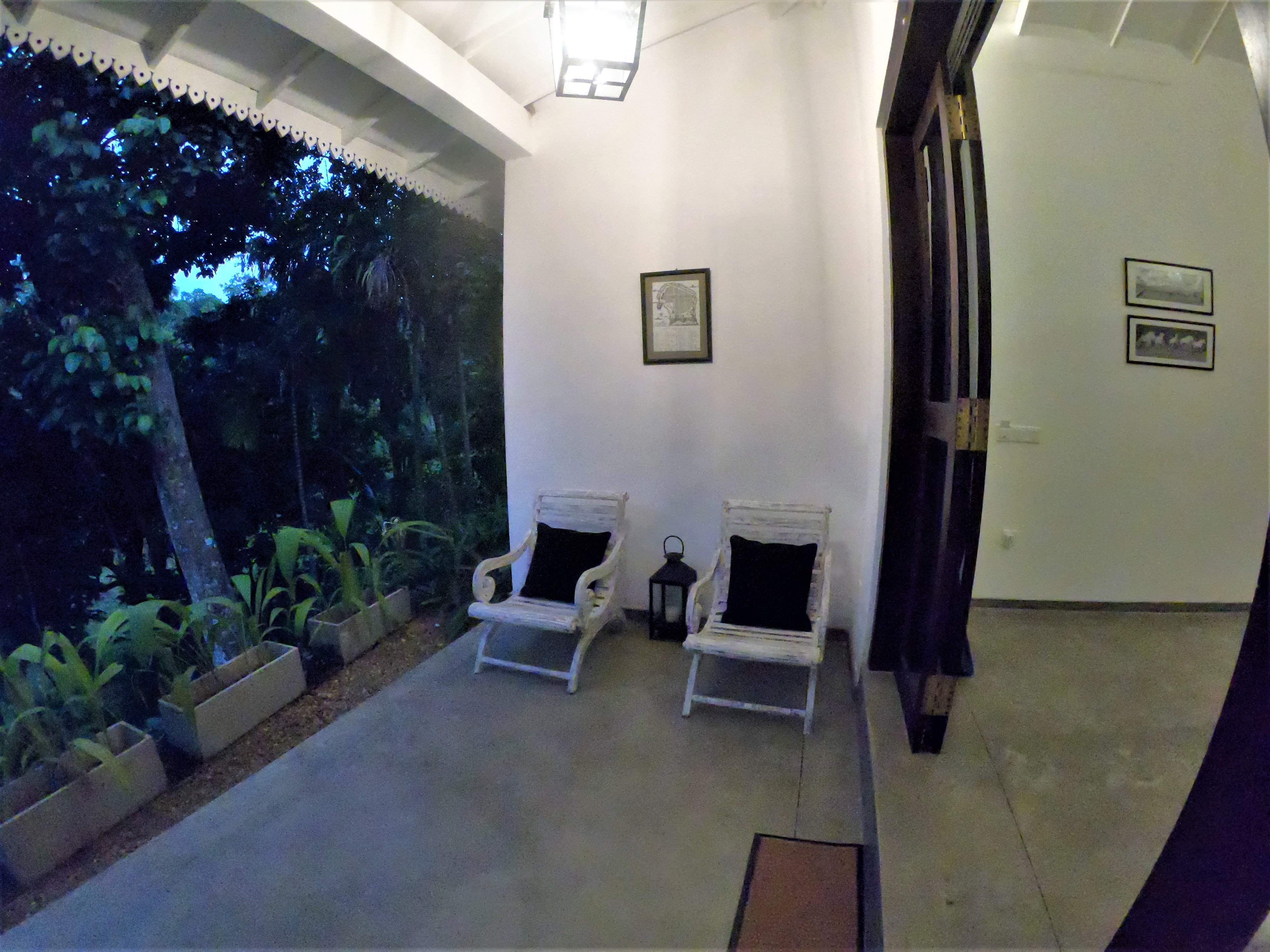 The Jungle Loft-酒店景观