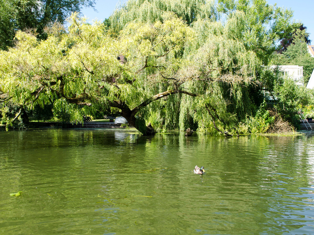 Schwentinetalfahrt-基尔必去景点