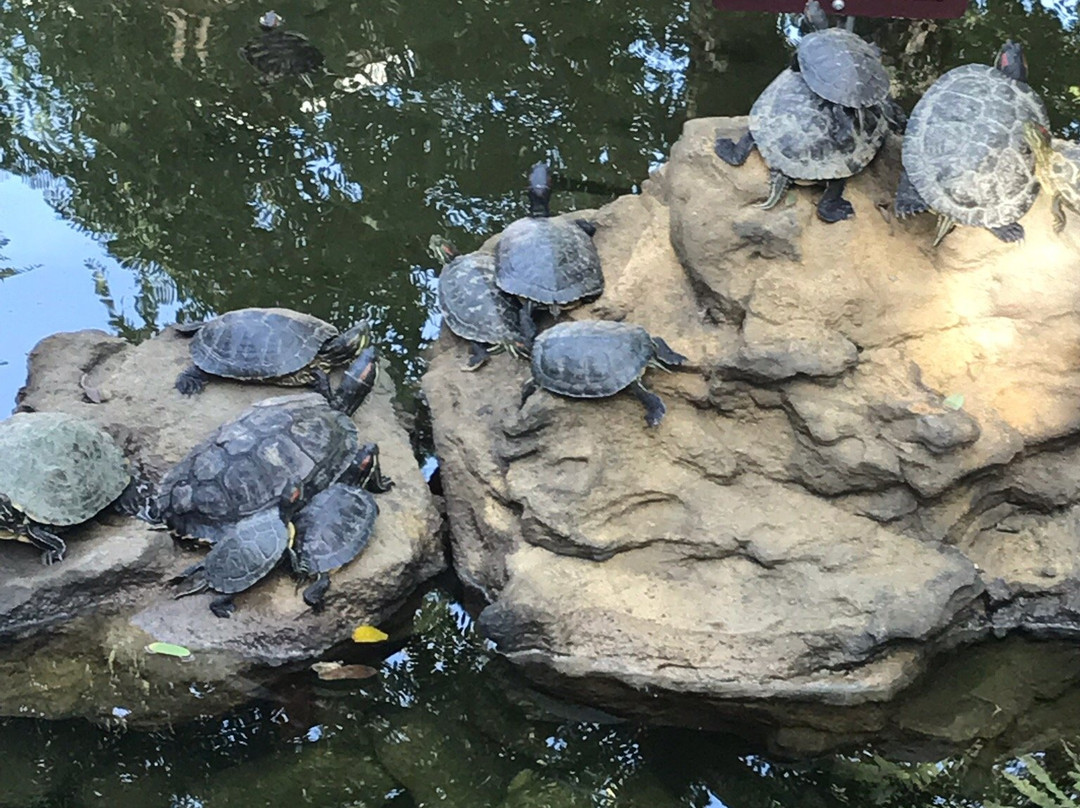 Valencia Town Center-圣克拉丽塔必去景点