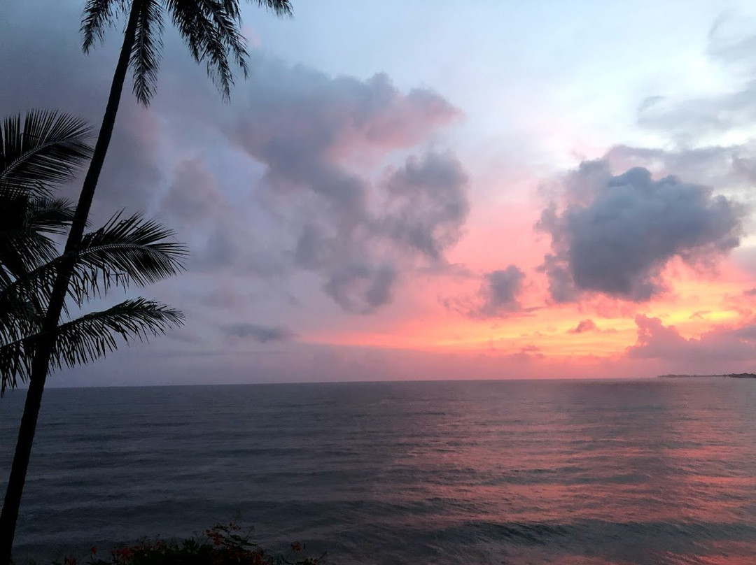 黑尔恺夏威夷住宿加早餐旅馆主图
