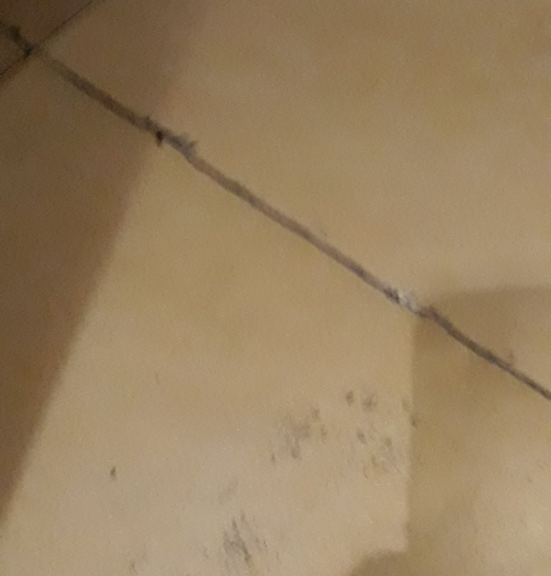 The Lalit Traveller Hotel主图