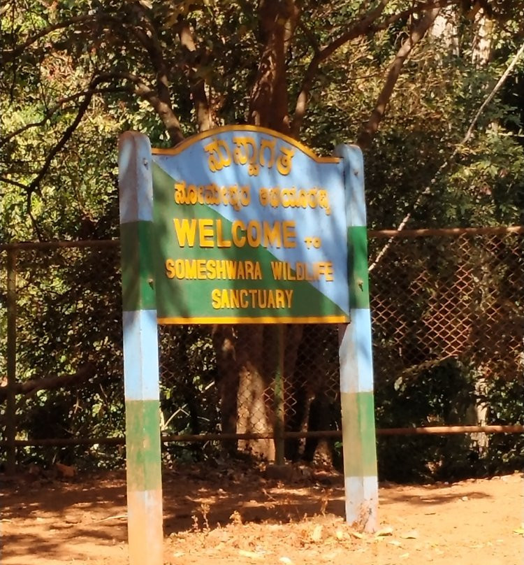 Agumbe Ghat景点图片