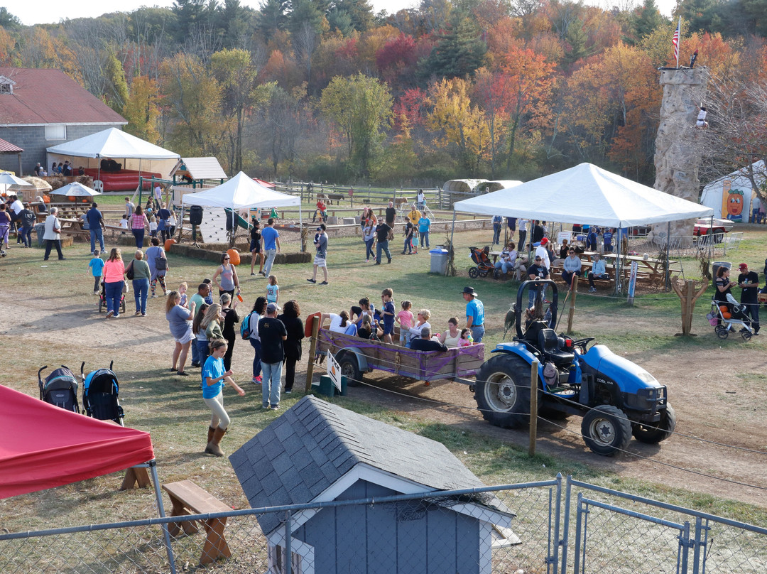Stowe Farm-Millbury必去景点