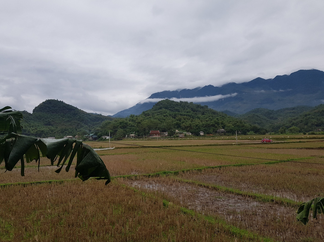 Little Mai Chau Home Stay主图