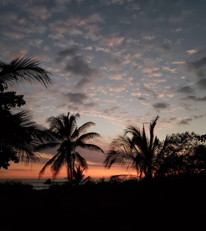 Hermosa Beach House主图