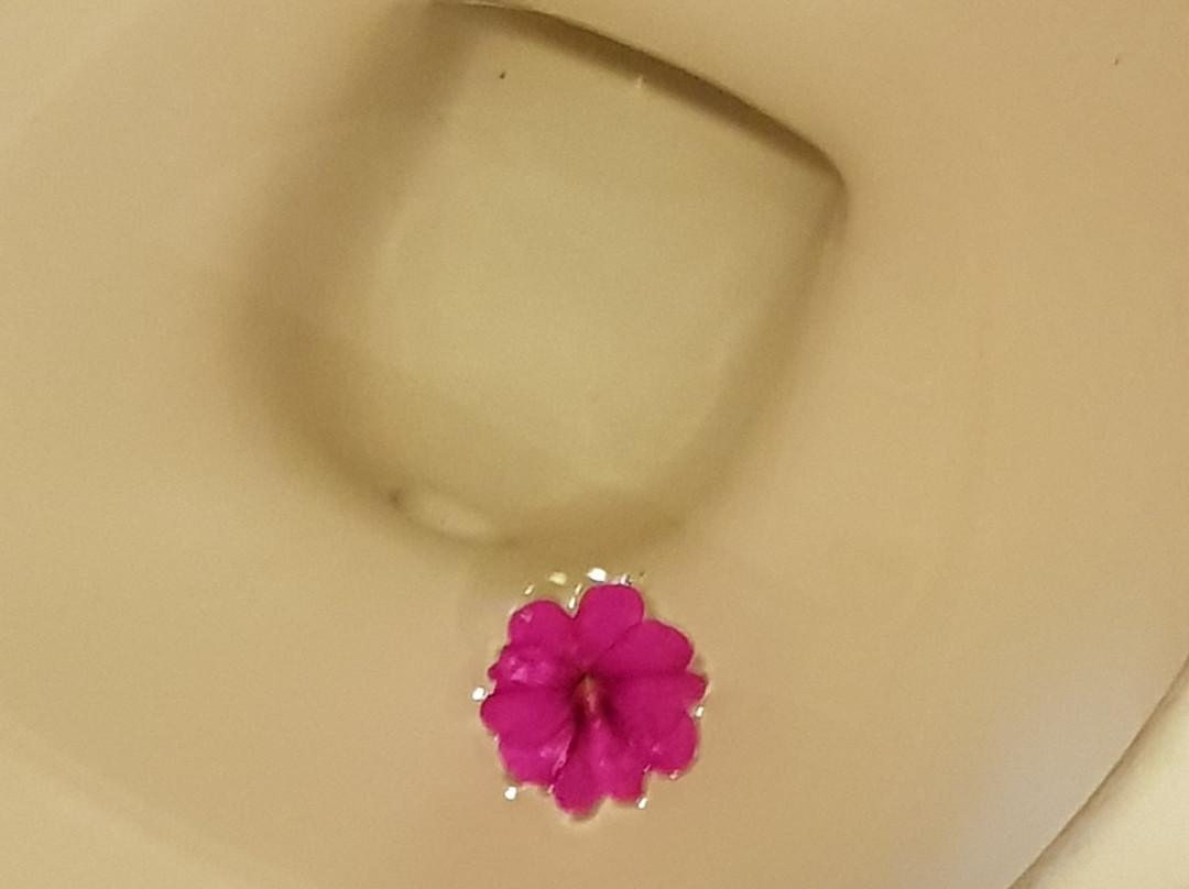 Pousada Graciosa主图