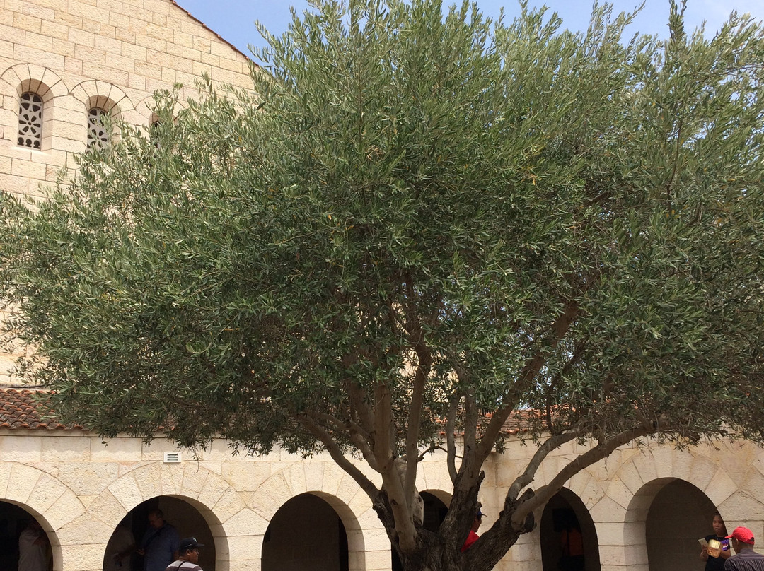 Church of the Multiplication-Tabgha必去景点