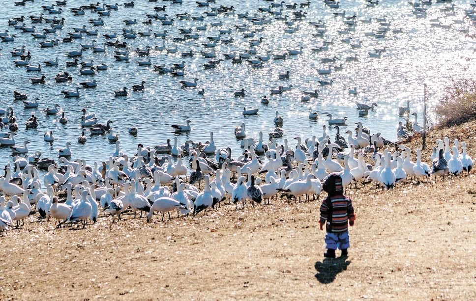 Réservoir Beaudet-Victoriaville必去景点