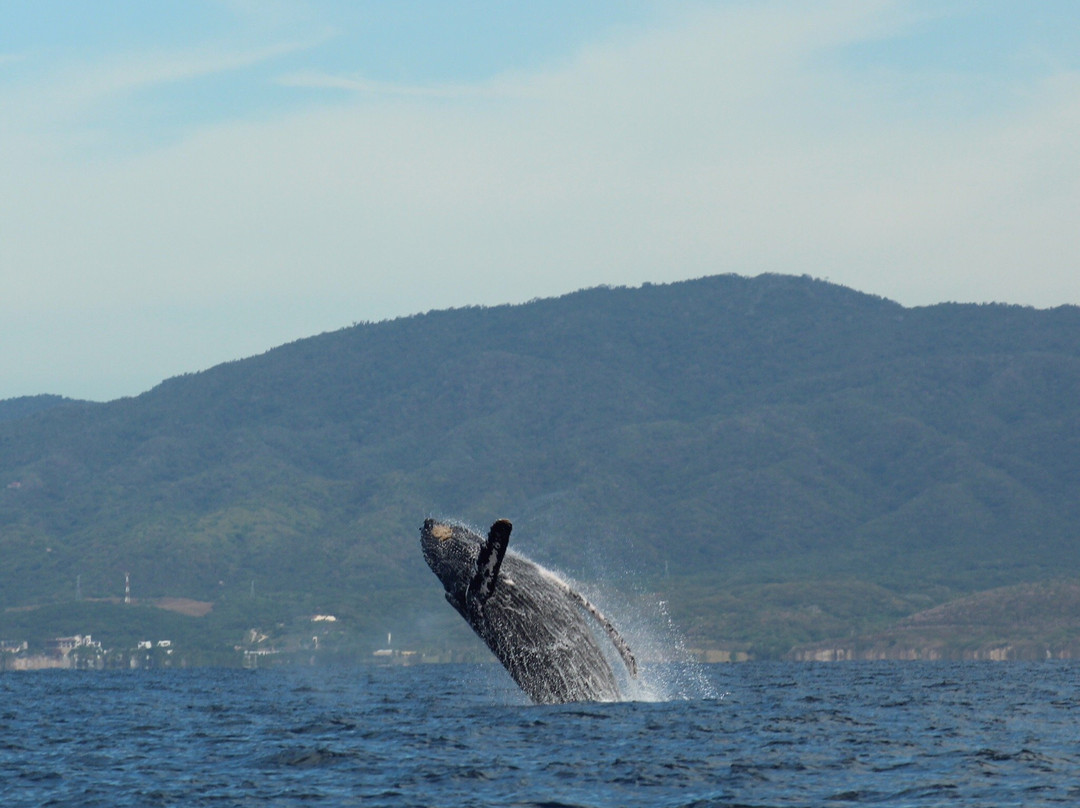 BIOCEAN Wildlife Encounters-新瓦雅塔必去景点