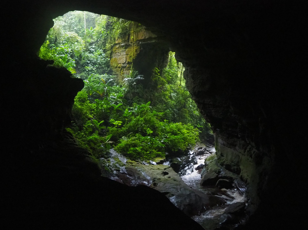 Parque Nacional Natural Cueva de los Guacharos景点图片