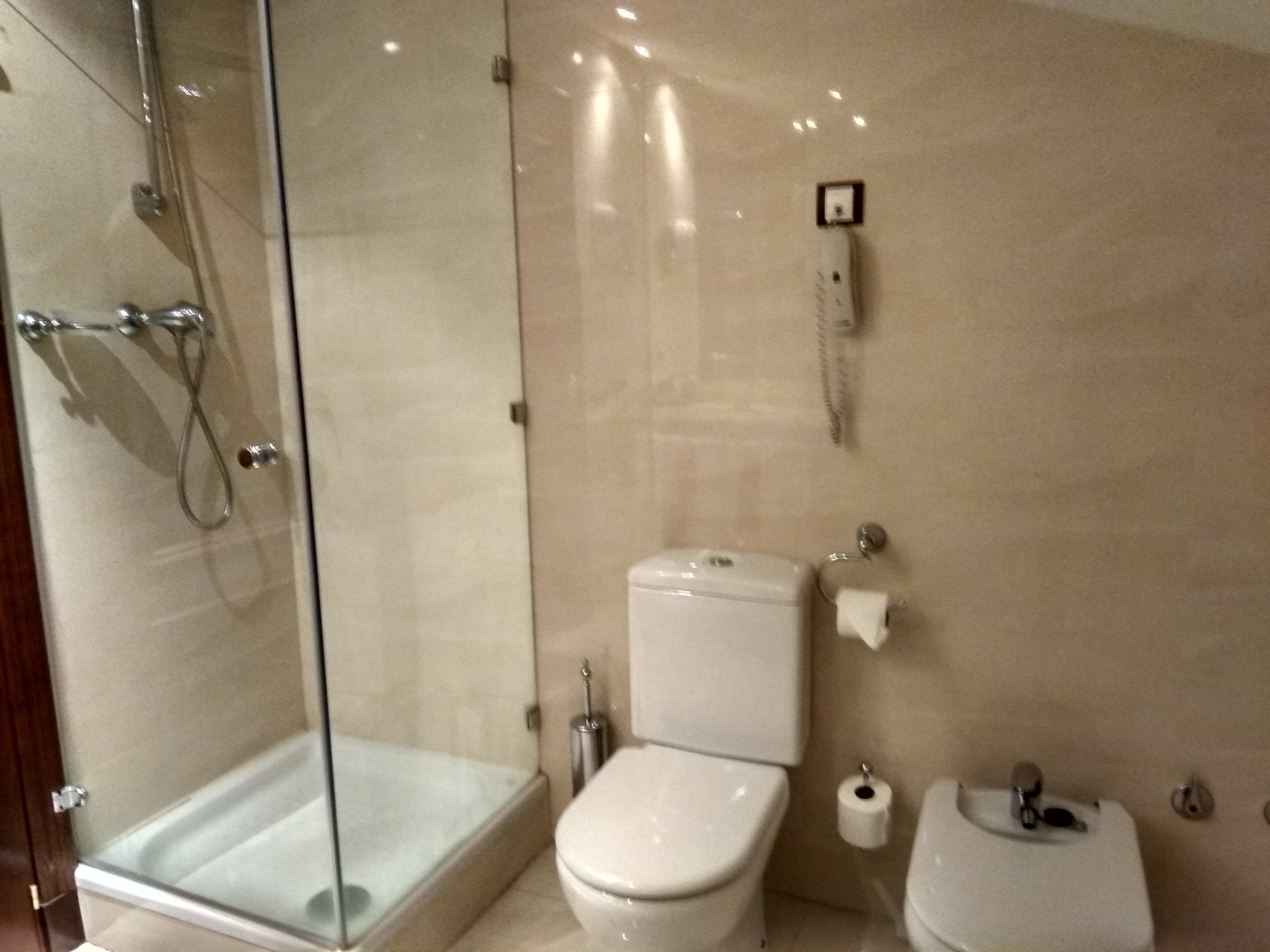 Hotel Sonsoles Ávila-浴室