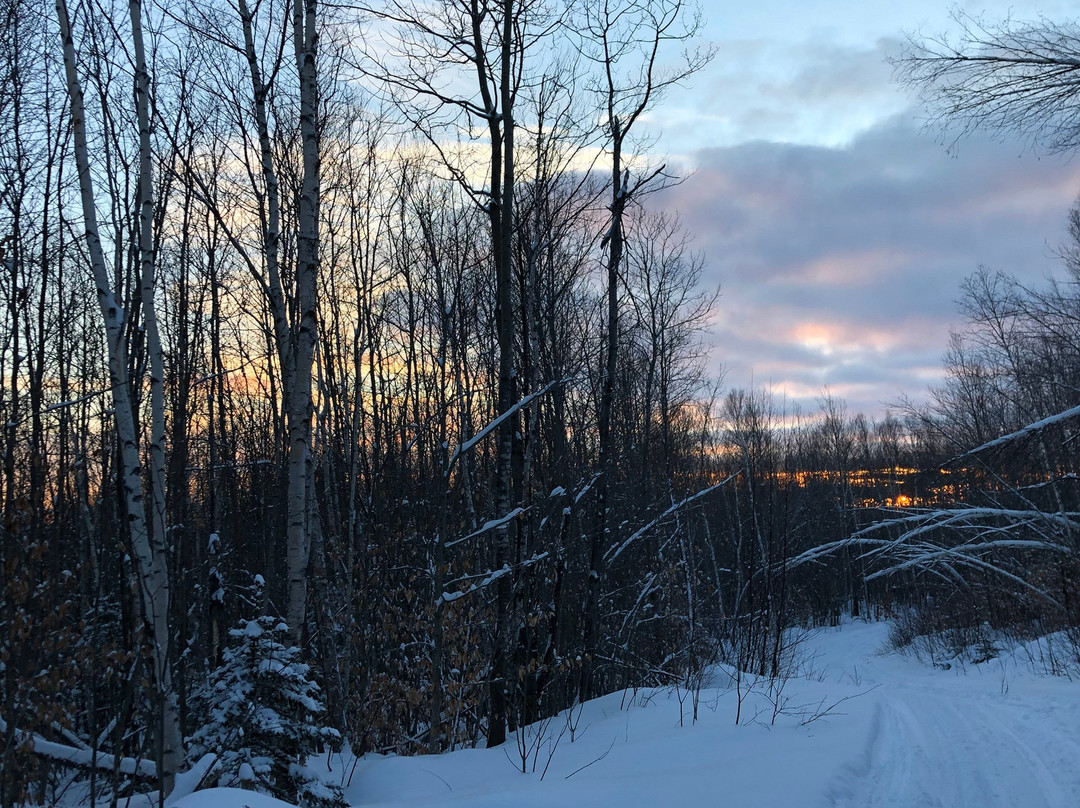 Moose Shed Lodge