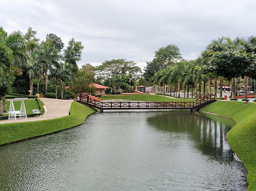 Grand Sultan Tea Resort & Golf主图