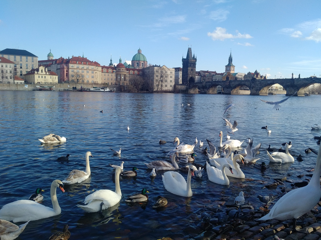 Prague Private Guides Overview Tour景点图片