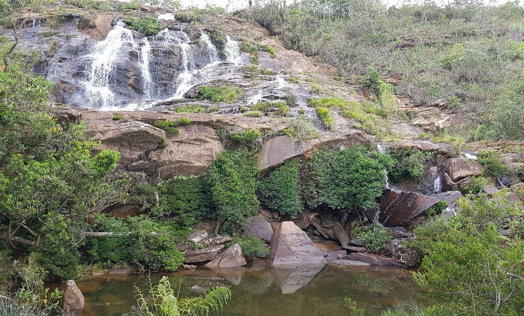 Floresta Estadual Uaimii景点图片