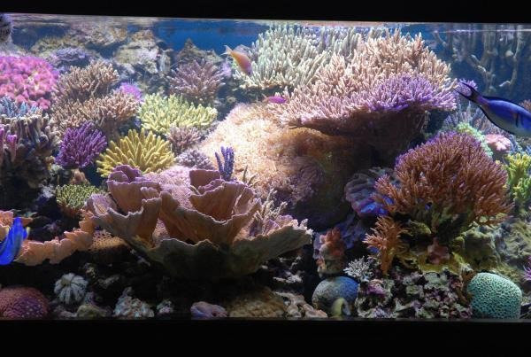 Hotel Grillo Verde主图