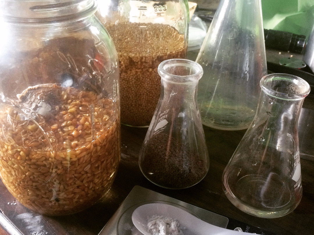 Small Kine Farm-威玛纳诺必去景点