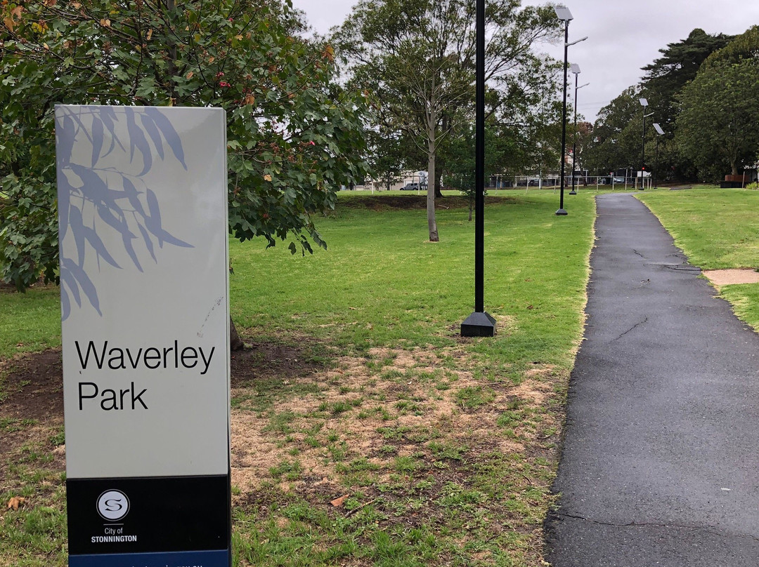Waverley Oval